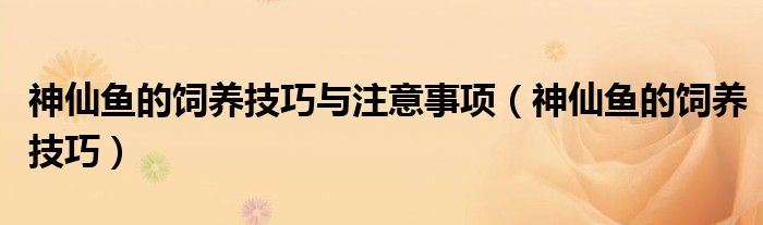 神仙鱼的饲养技巧与注意事项（神仙鱼的饲养技巧）