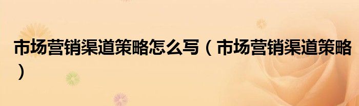 市场营销渠道策略怎么写（市场营销渠道策略）