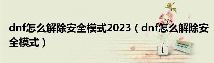 dnf怎么解除安全模式2023（dnf怎么解除安全模式）