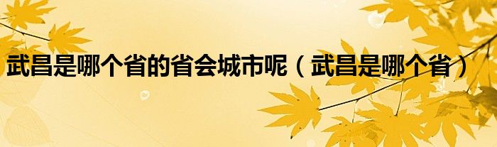 武昌是哪个省的省会城市呢（武昌是哪个省）