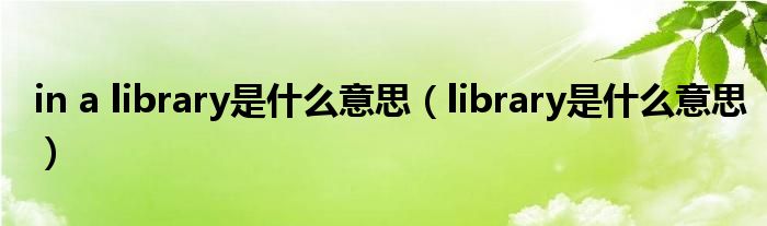 in a library是什么意思（library是什么意思）