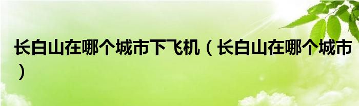 长白山在哪个城市下飞机（长白山在哪个城市）