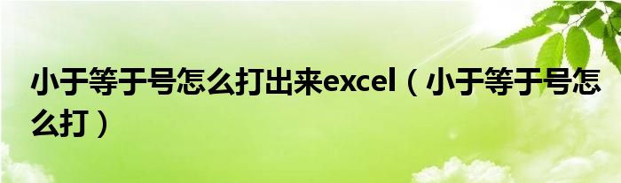 小于等于号怎么打出来excel（小于等于号怎么打）