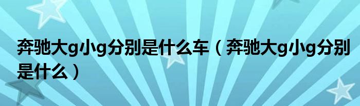 奔驰大g小g分别是什么车（奔驰大g小g分别是什么）