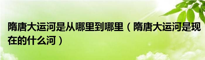 隋唐大运河是从哪里到哪里（隋唐大运河是现在的什么河）