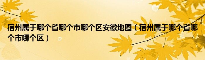 宿州属于哪个省哪个市哪个区安徽地图（宿州属于哪个省哪个市哪个区）