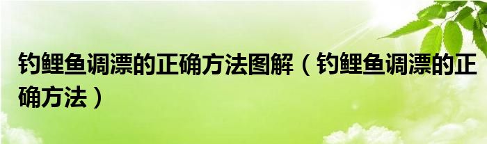 钓鲤鱼调漂的正确方法图解（钓鲤鱼调漂的正确方法）