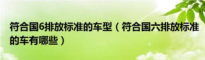 符合国6排放标准的车型（符合国六排放标准的车有哪些）