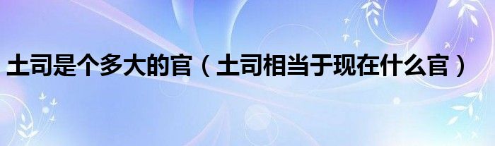 土司是个多大的官（土司相当于现在什么官）