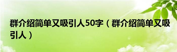 群介绍简单又吸引人50字（群介绍简单又吸引人）