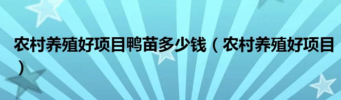 农村养殖好项目鸭苗多少钱（农村养殖好项目）