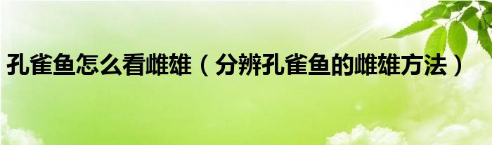 孔雀鱼怎么看雌雄（分辨孔雀鱼的雌雄方法）