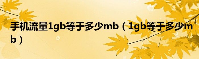 手机流量1gb等于多少mb（1gb等于多少mb）