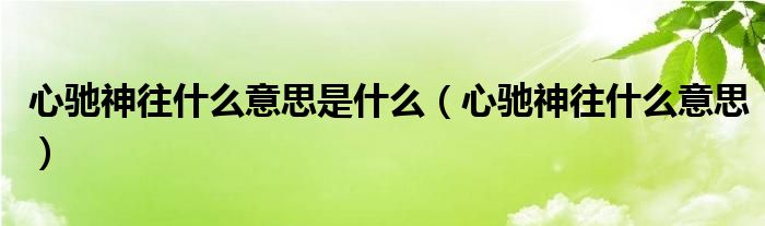 心驰神往什么意思是什么（心驰神往什么意思）