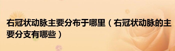 右冠状动脉主要分布于哪里（右冠状动脉的主要分支有哪些）