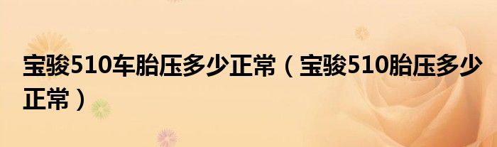 宝骏510车胎压多少正常（宝骏510胎压多少正常）