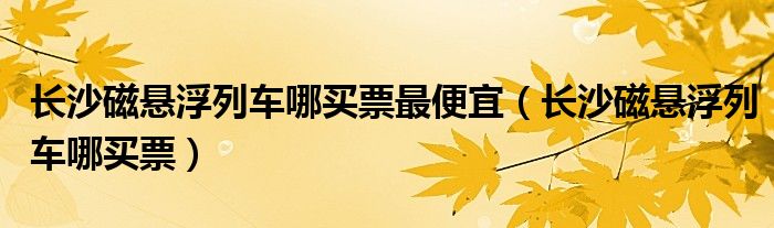 长沙磁悬浮列车哪买票最便宜（长沙磁悬浮列车哪买票）