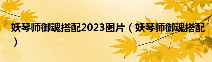 妖琴师御魂搭配2023图片（妖琴师御魂搭配）