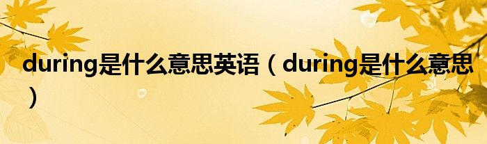 during是什么意思英语（during是什么意思）