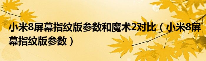 小米8屏幕指纹版参数和魔术2对比（小米8屏幕指纹版参数）