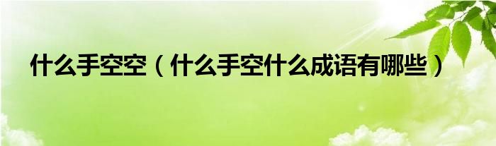 什么手空空（什么手空什么成语有哪些）