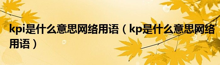 kpi是什么意思网络用语（kp是什么意思网络用语）