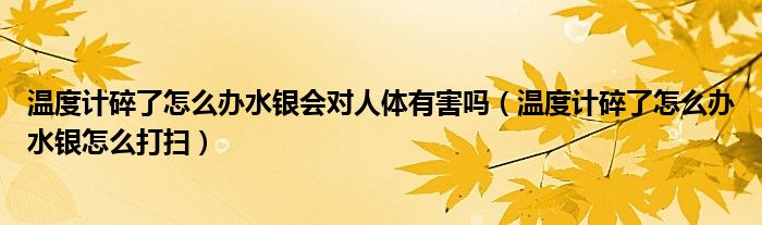 温度计碎了怎么办水银会对人体有害吗（温度计碎了怎么办水银怎么打扫）