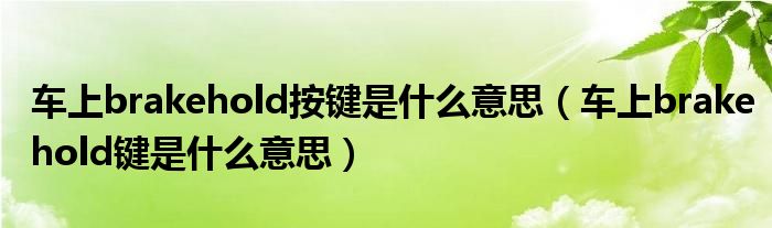 车上brakehold按键是什么意思（车上brakehold键是什么意思）