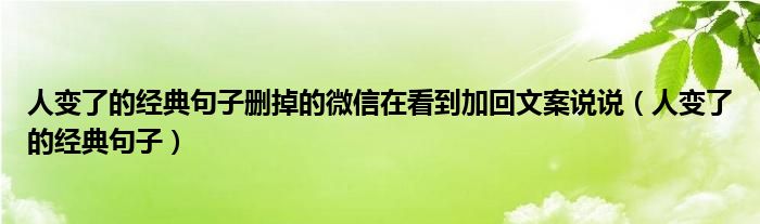 人变了的经典句子删掉的微信在看到加回文案说说（人变了的经典句子）