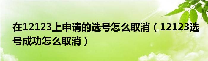 在12123上申请的选号怎么取消（12123选号成功怎么取消）