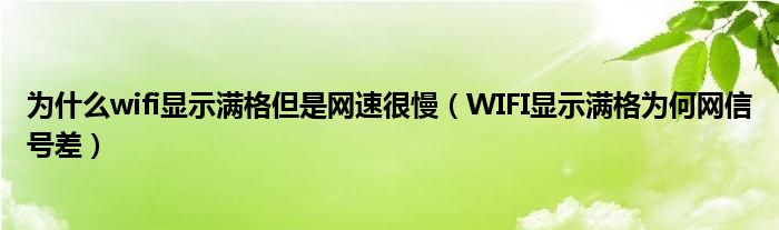 为什么wifi显示满格但是网速很慢（WIFI显示满格为何网信号差）