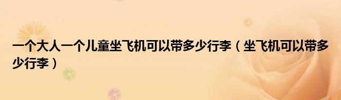 一个大人一个儿童坐飞机可以带多少行李（坐飞机可以带多少行李）