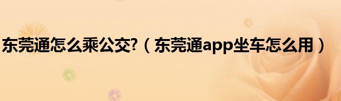 东莞通怎么乘公交?（东莞通app坐车怎么用）