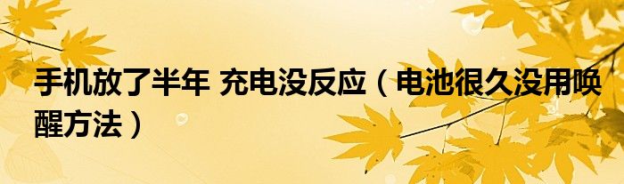 手机放了半年 充电没反应（电池很久没用唤醒方法）