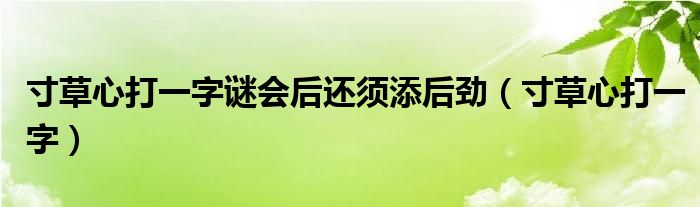 寸草心打一字谜会后还须添后劲（寸草心打一字）