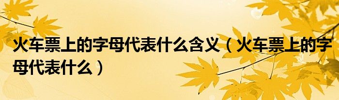 火车票上的字母代表什么含义（火车票上的字母代表什么）