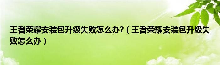 王者荣耀安装包升级失败怎么办?（王者荣耀安装包升级失败怎么办）