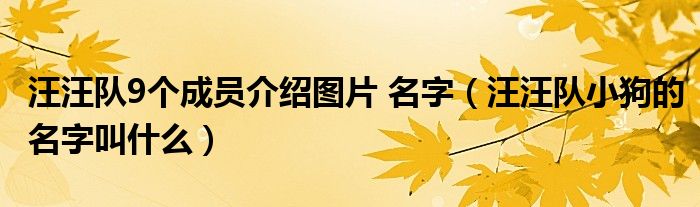 汪汪队9个成员介绍图片 名字（汪汪队小狗的名字叫什么）