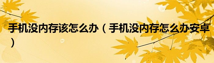 手机没内存该怎么办（手机没内存怎么办安卓）