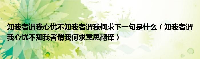 知我者谓我心忧不知我者谓我何求下一句是什么（知我者谓我心忧不知我者谓我何求意思翻译）