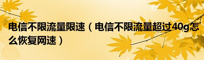 电信不限流量限速（电信不限流量超过40g怎么恢复网速）