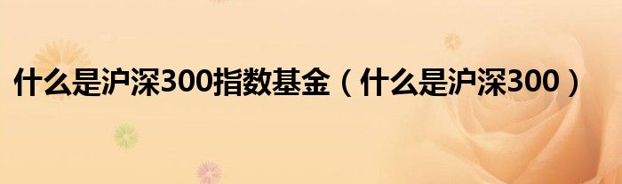 什么是沪深300指数基金（什么是沪深300）