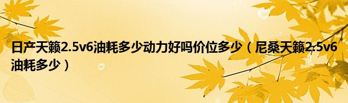 日产天籁2.5v6油耗多少动力好吗价位多少（尼桑天籁2.5v6油耗多少）