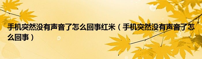 手机突然没有声音了怎么回事红米（手机突然没有声音了怎么回事）