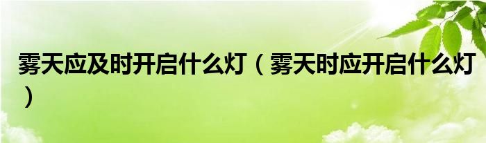 雾天应及时开启什么灯（雾天时应开启什么灯）