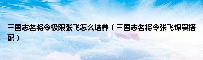 三国志名将令极限张飞怎么培养（三国志名将令张飞锦囊搭配）