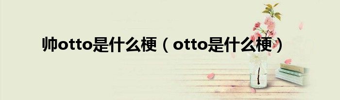 帅otto是什么梗（otto是什么梗）