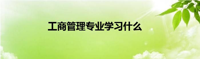 工商管理专业学习什么