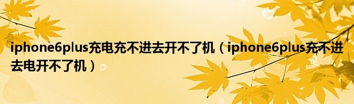 iphone6plus充电充不进去开不了机（iphone6plus充不进去电开不了机）