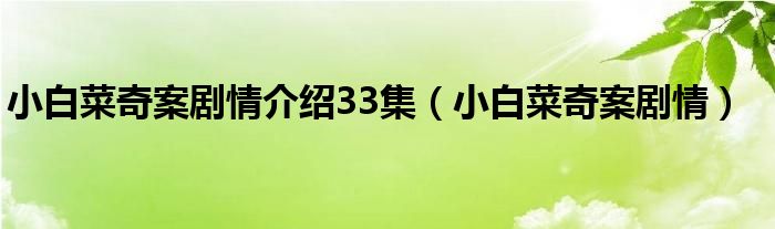 小白菜奇案剧情介绍33集（小白菜奇案剧情）